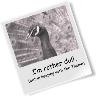 I�m rather dull, (but in keeping with the Theme)