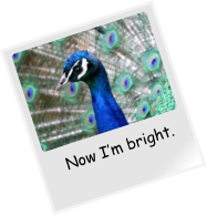 Now I�m bright.